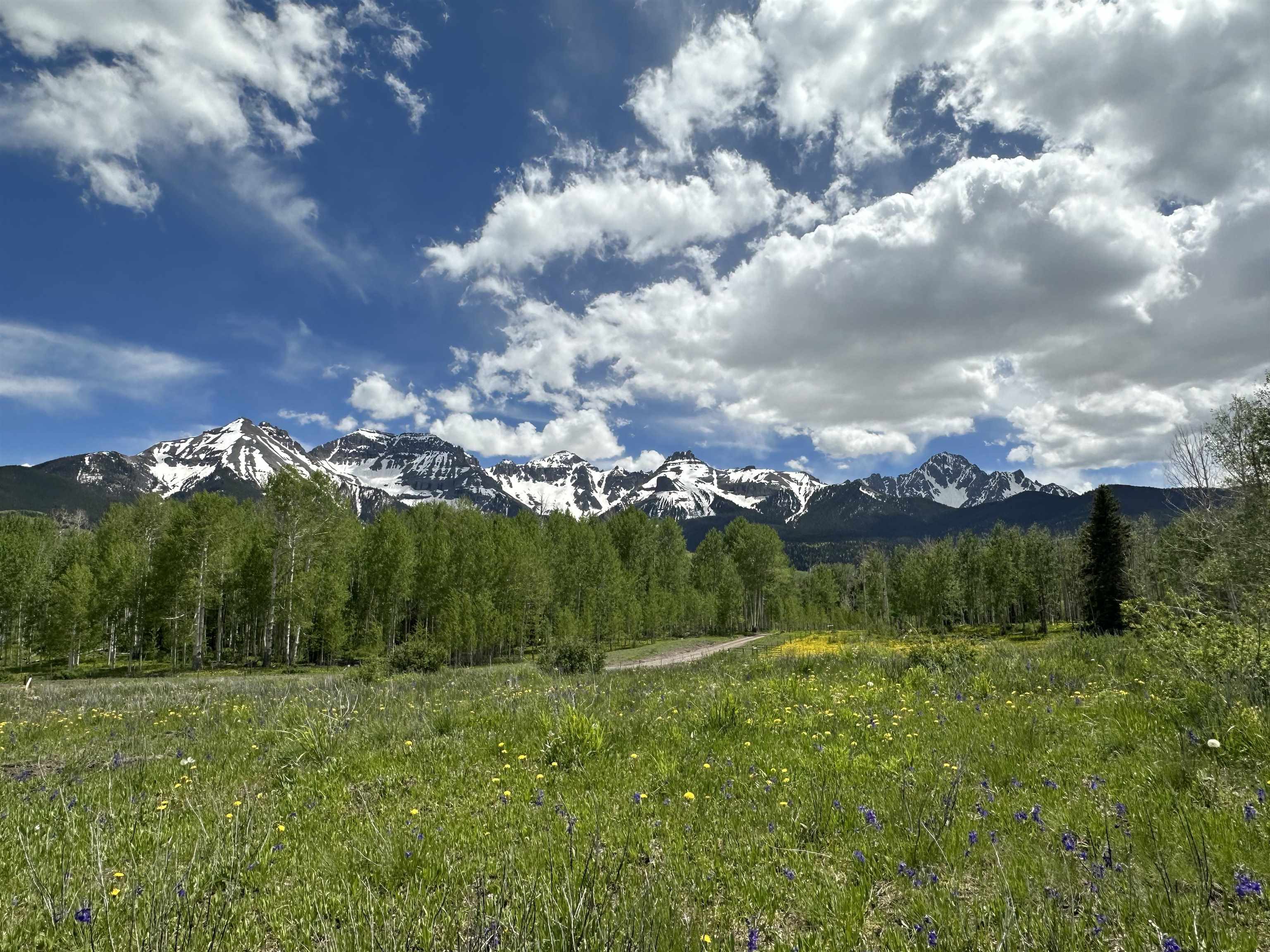 Tbd County Road 5 Property Photo 5