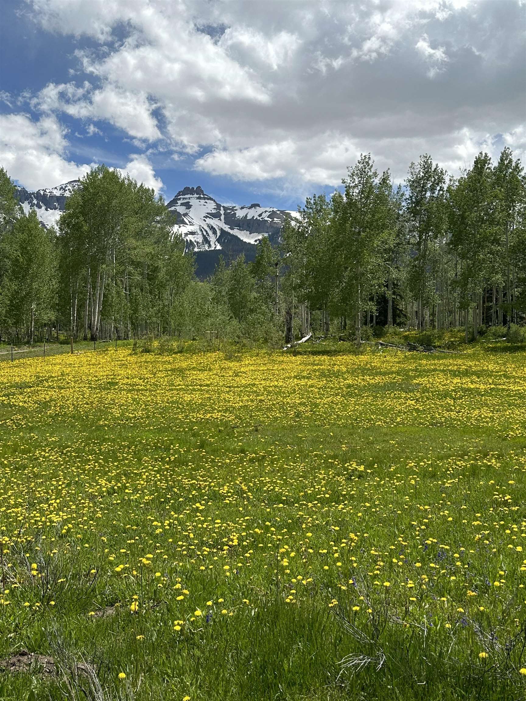 Tbd County Road 5 Property Photo 8