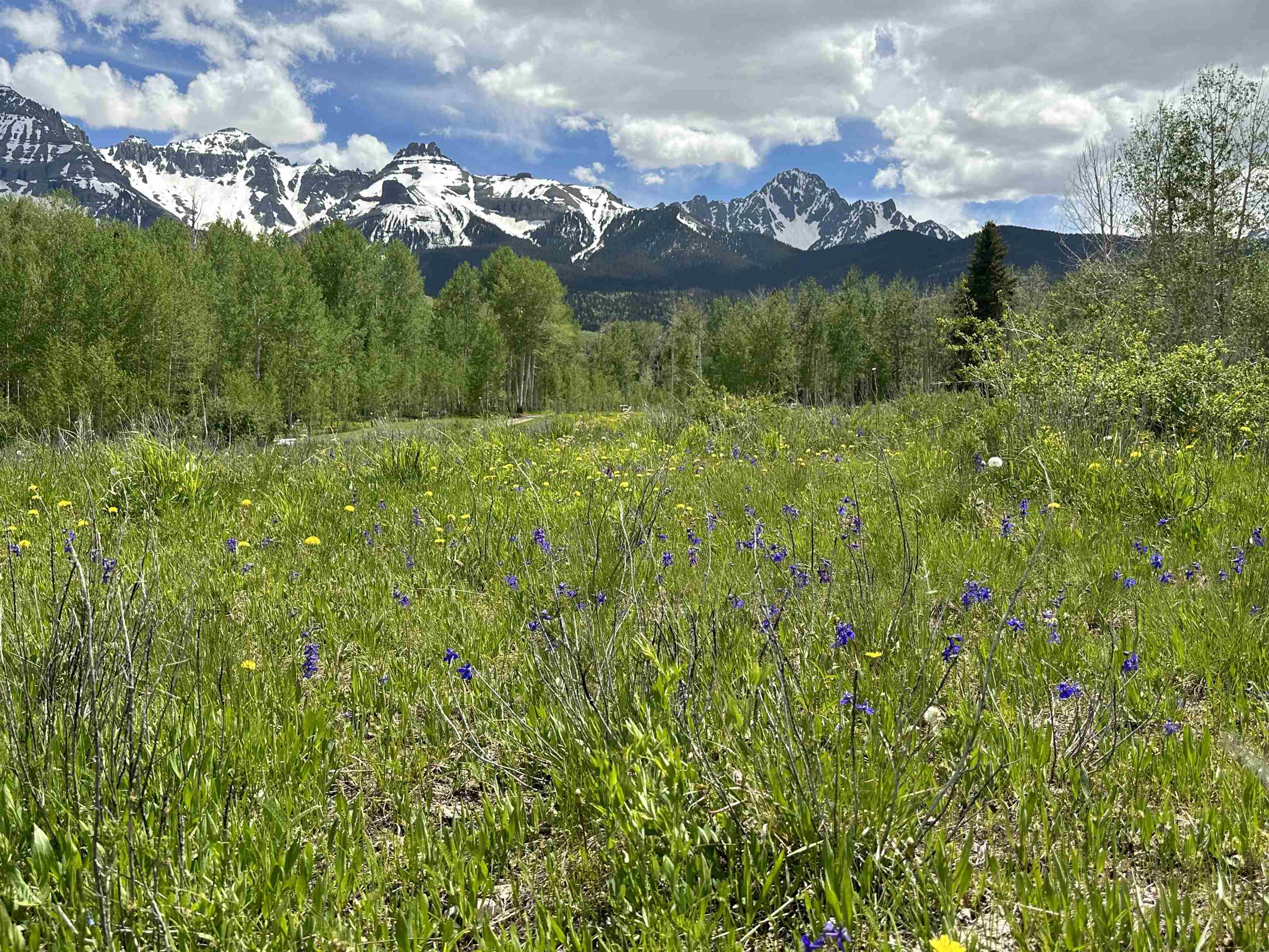 Tbd County Road 5 Property Photo 10