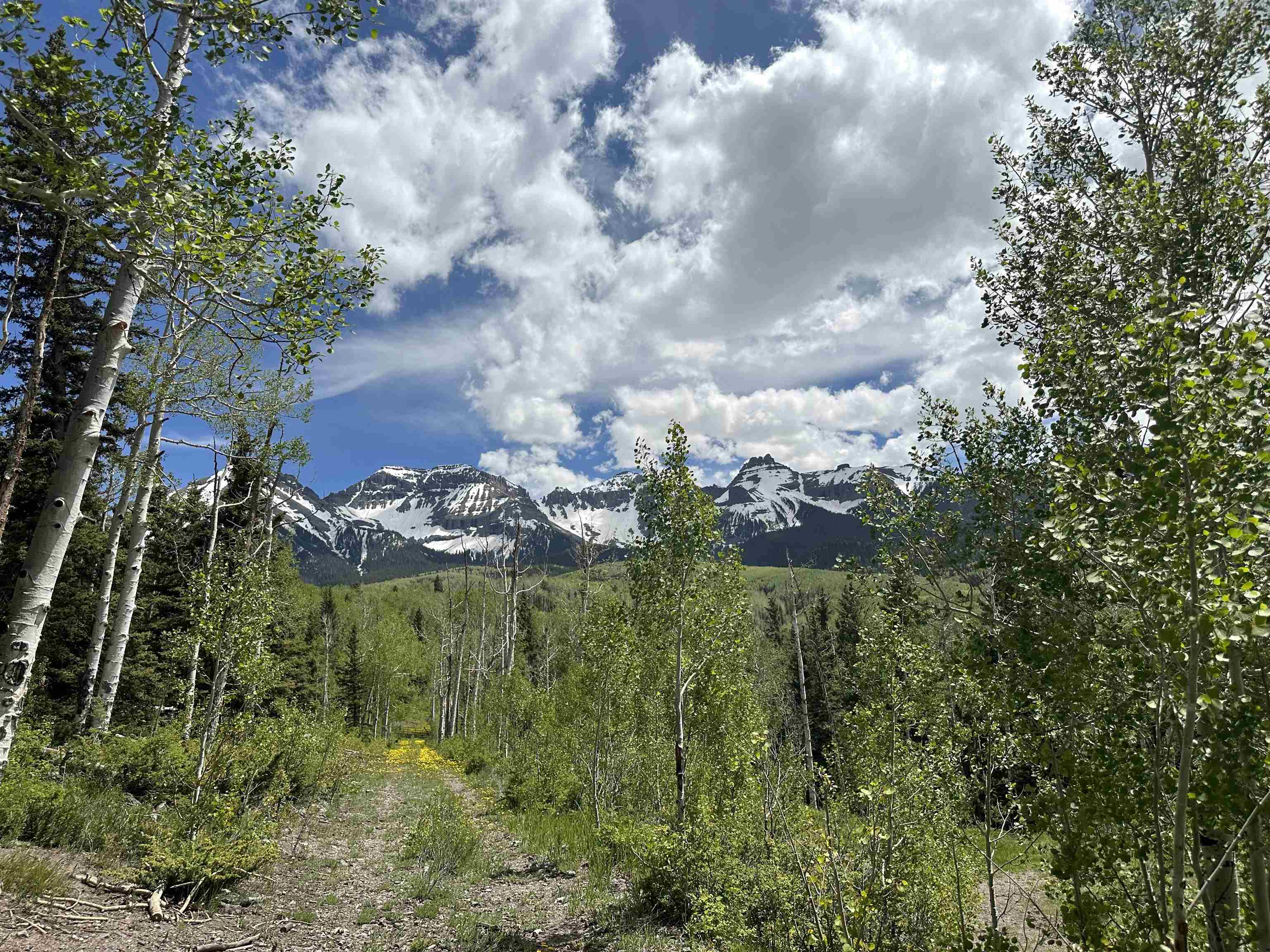 Tbd County Road 5 Property Photo 11