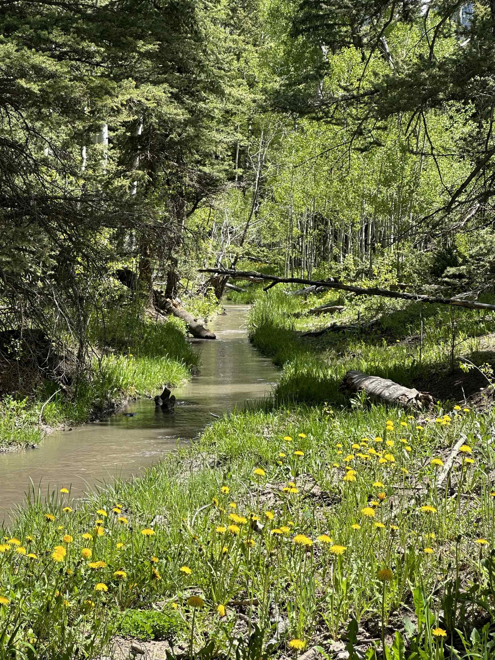 Tbd County Road 5 Property Photo 12