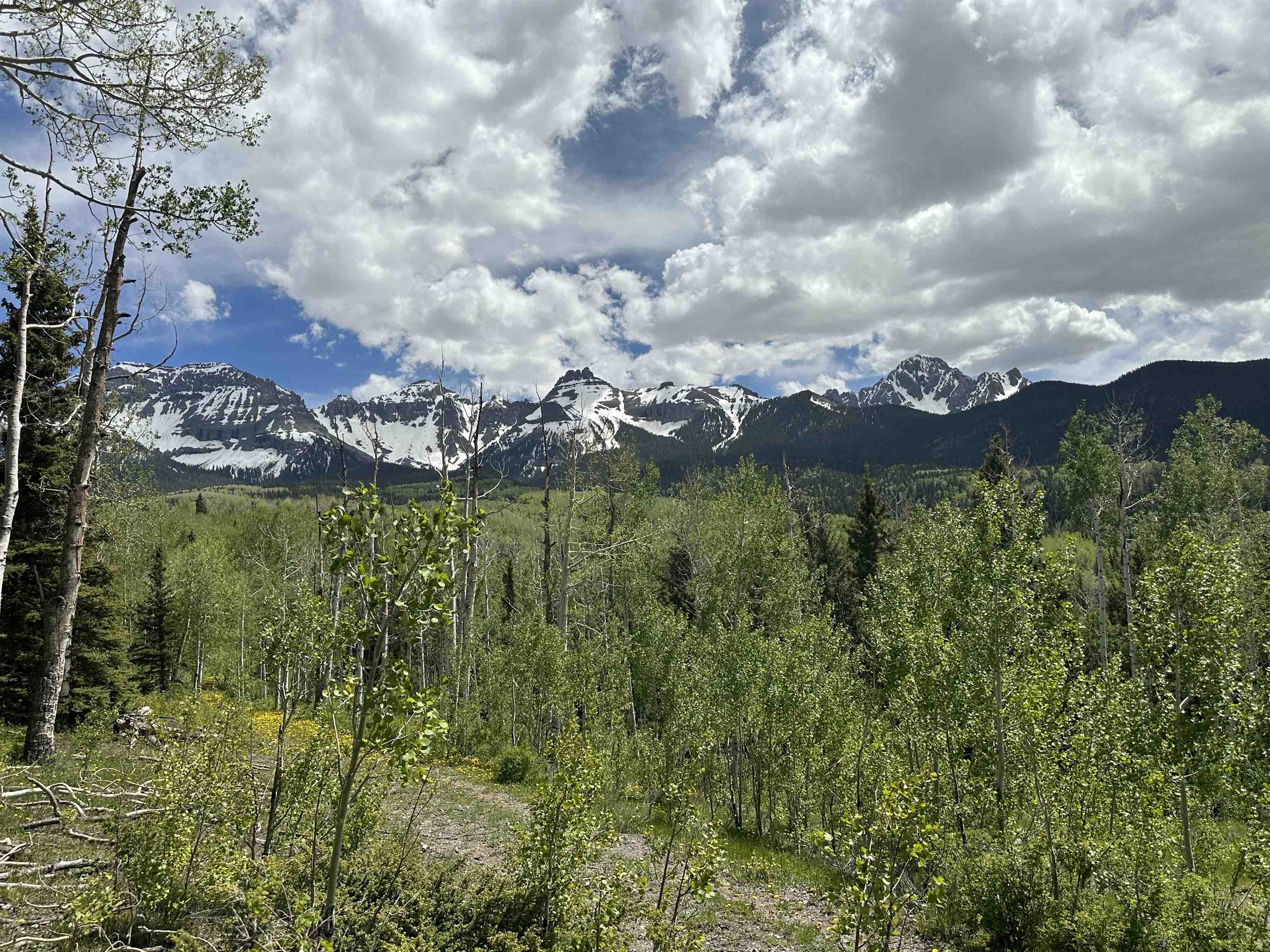 Tbd County Road 5 Property Photo 16
