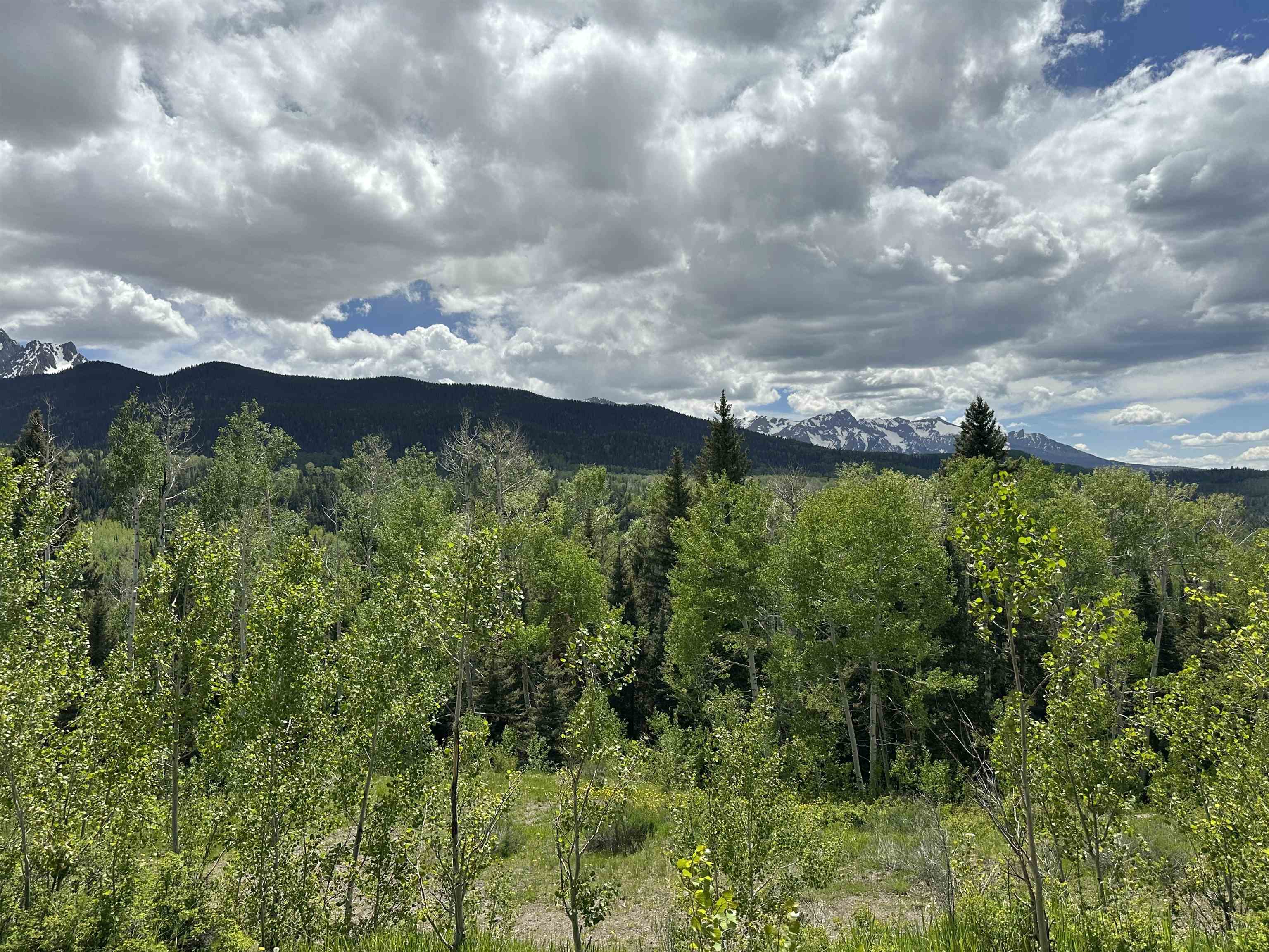 Tbd County Road 5 Property Photo 17