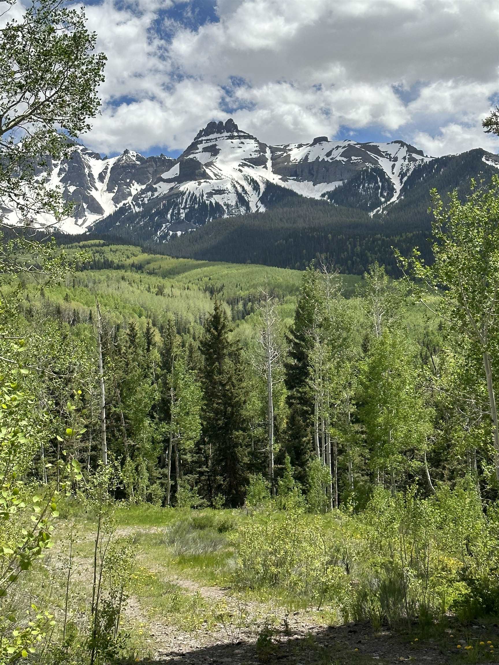 Tbd County Road 5 Property Photo 18