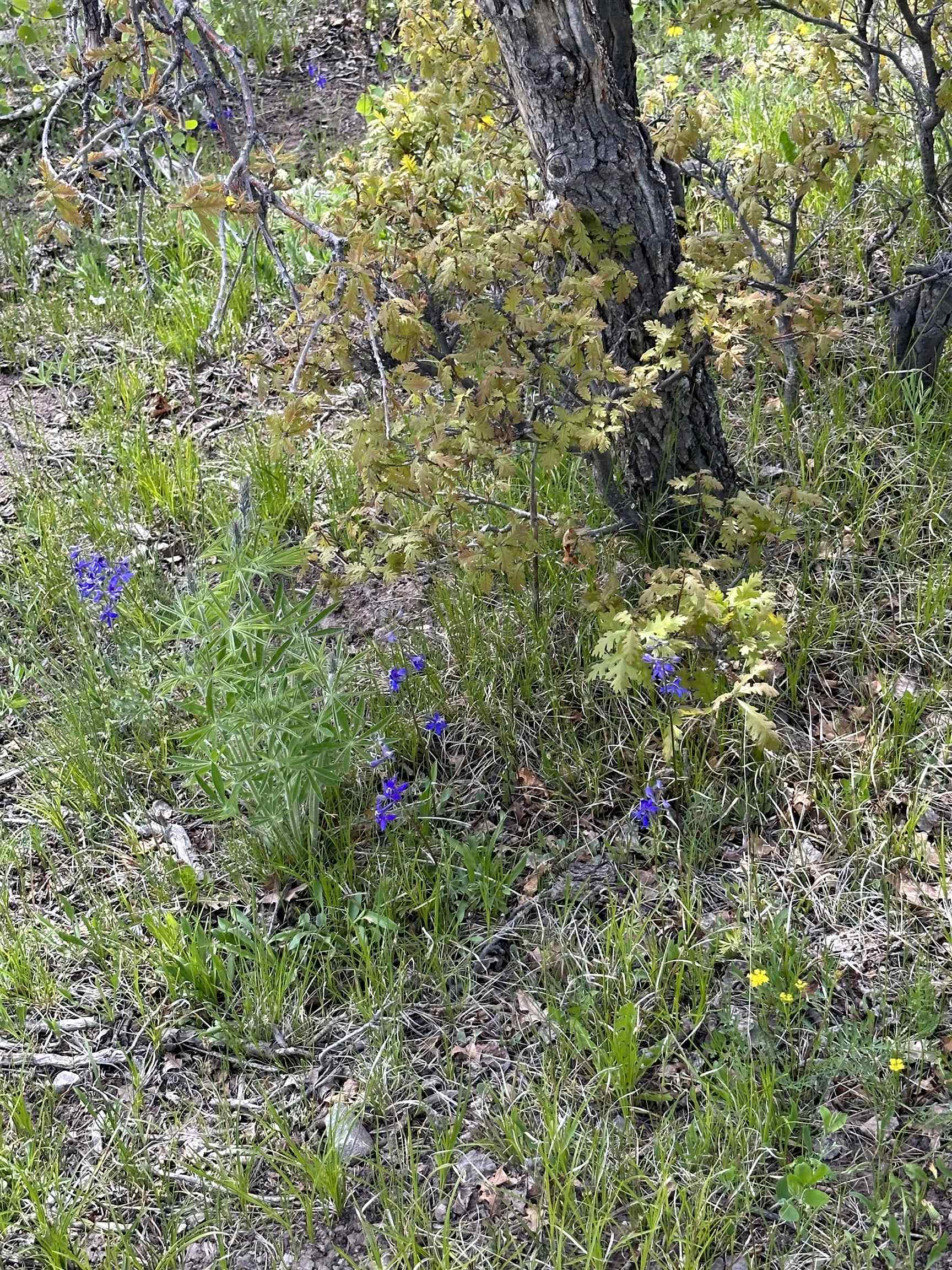 Tbd County Road 5 Property Photo 19
