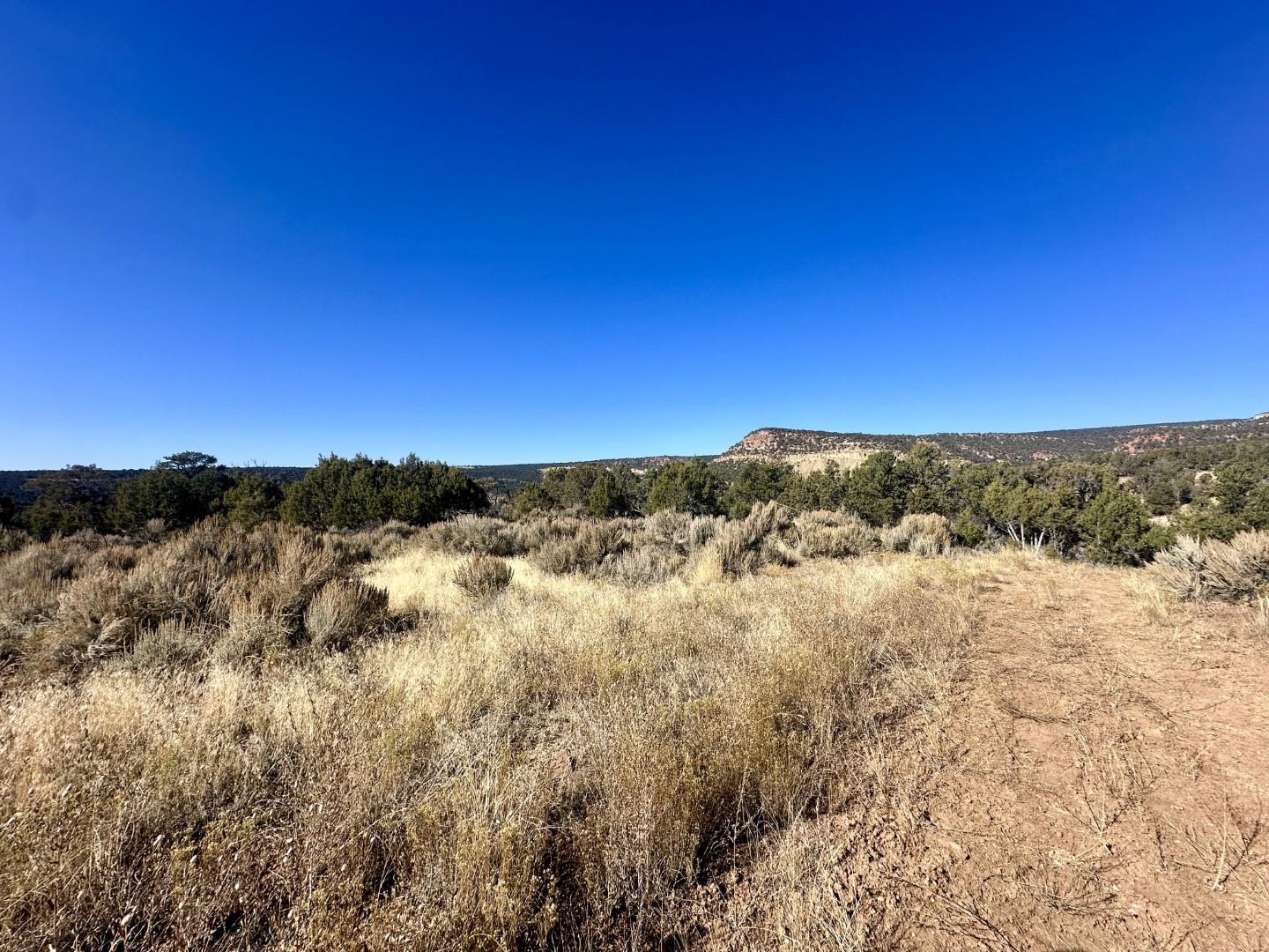 Tbd Cactus Park Road Property Photo 2