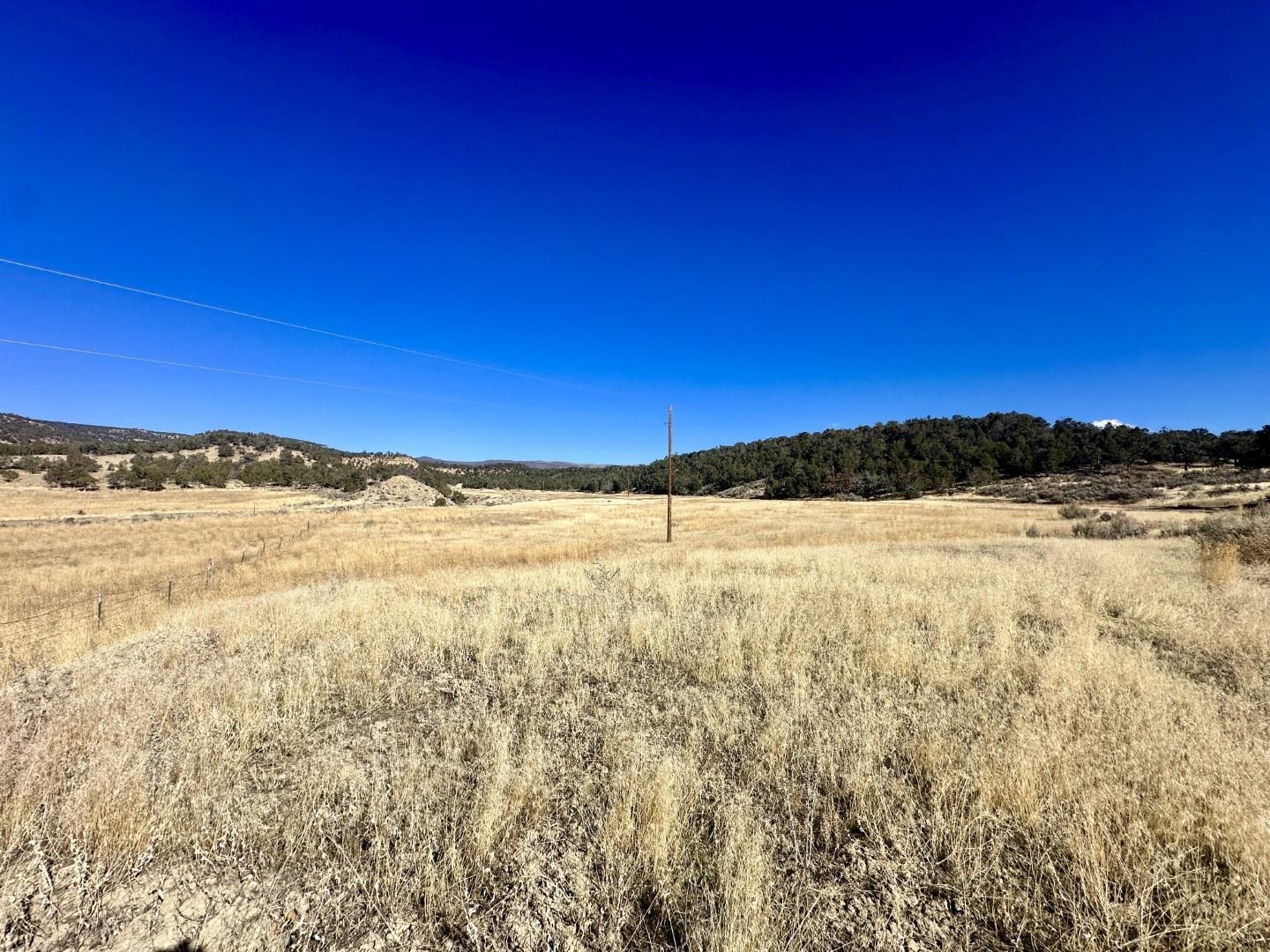 Tbd Cactus Park Road Property Photo 4