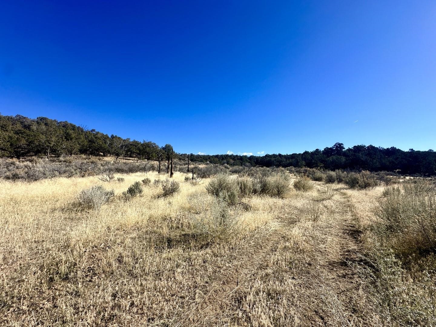 Tbd Cactus Park Road Property Photo 5