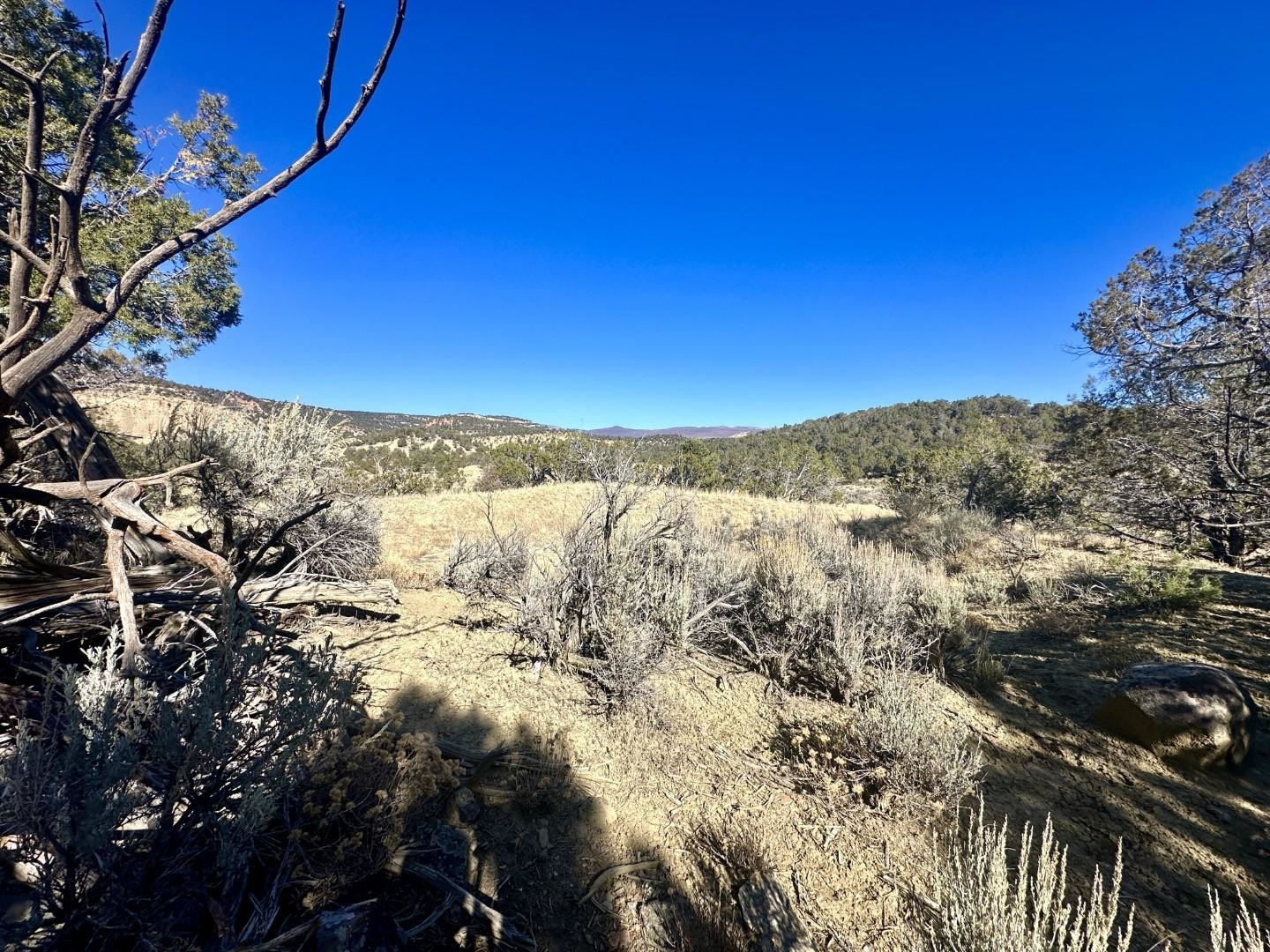 Tbd Cactus Park Road Property Photo 6
