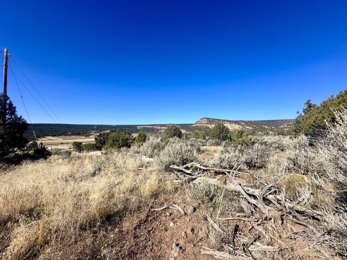 Tbd Cactus Park Road Property Photo 7