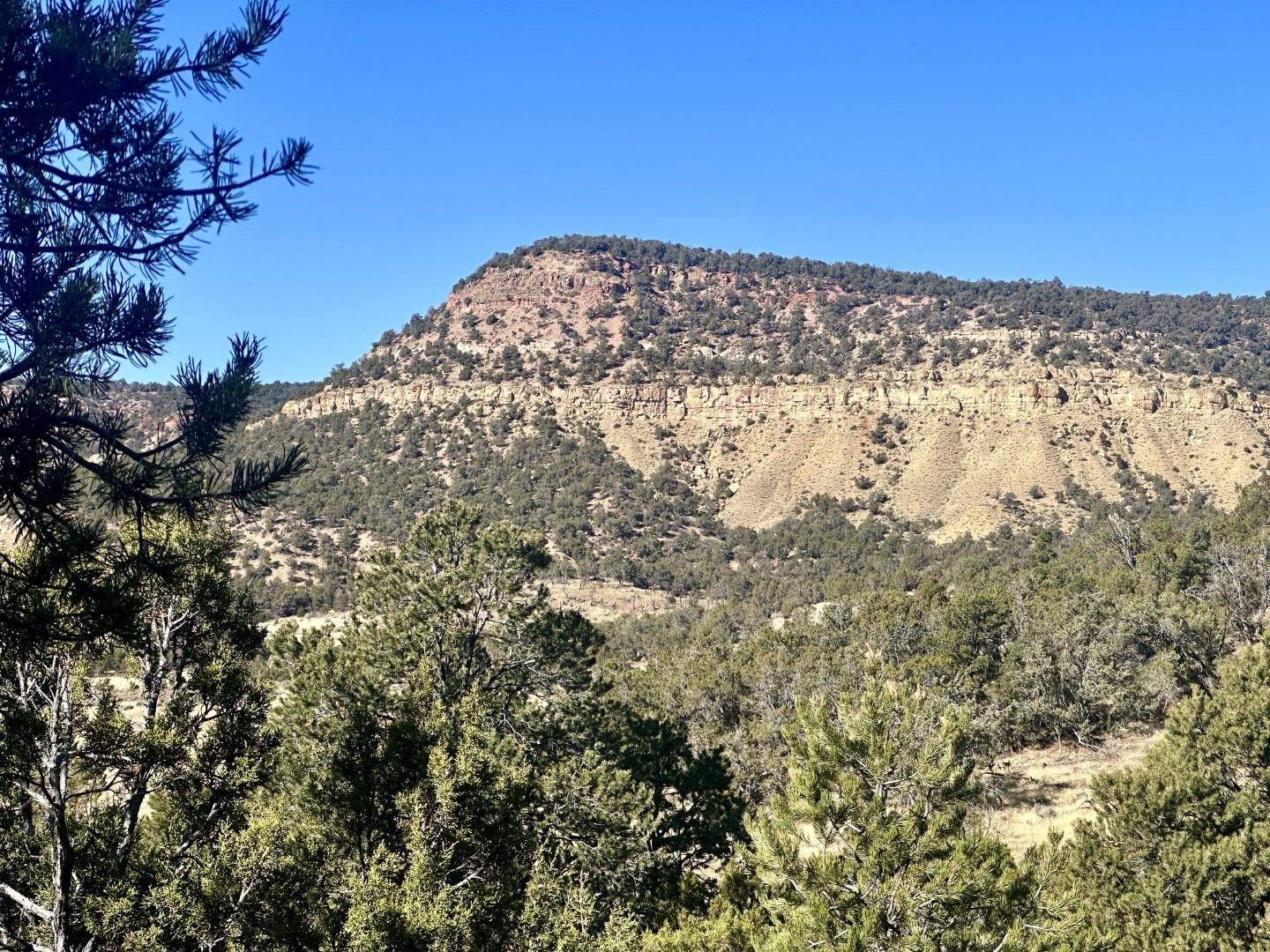 Tbd Cactus Park Road Property Photo 8