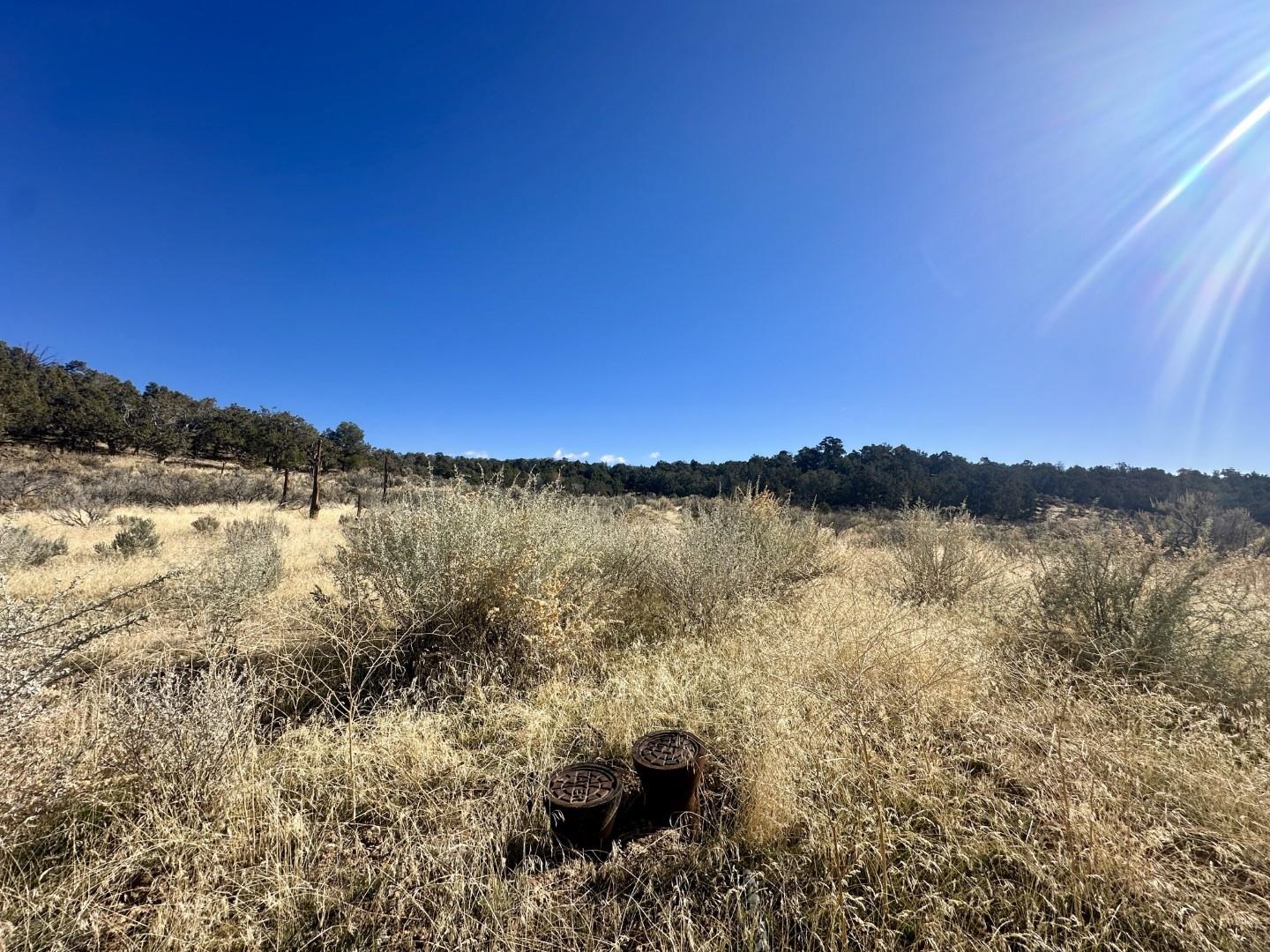 Tbd Cactus Park Road Property Photo 12