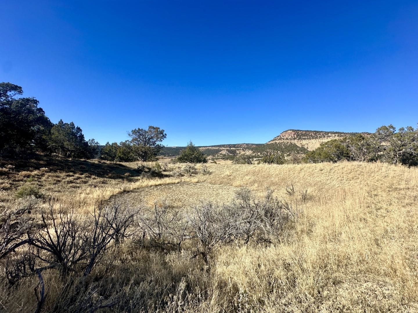 Tbd Cactus Park Road Property Photo 13