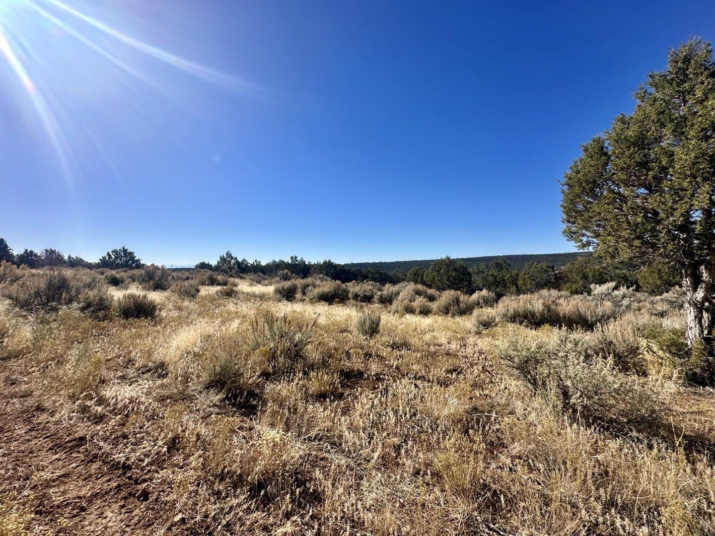 Tbd Cactus Park Road Property Photo 14