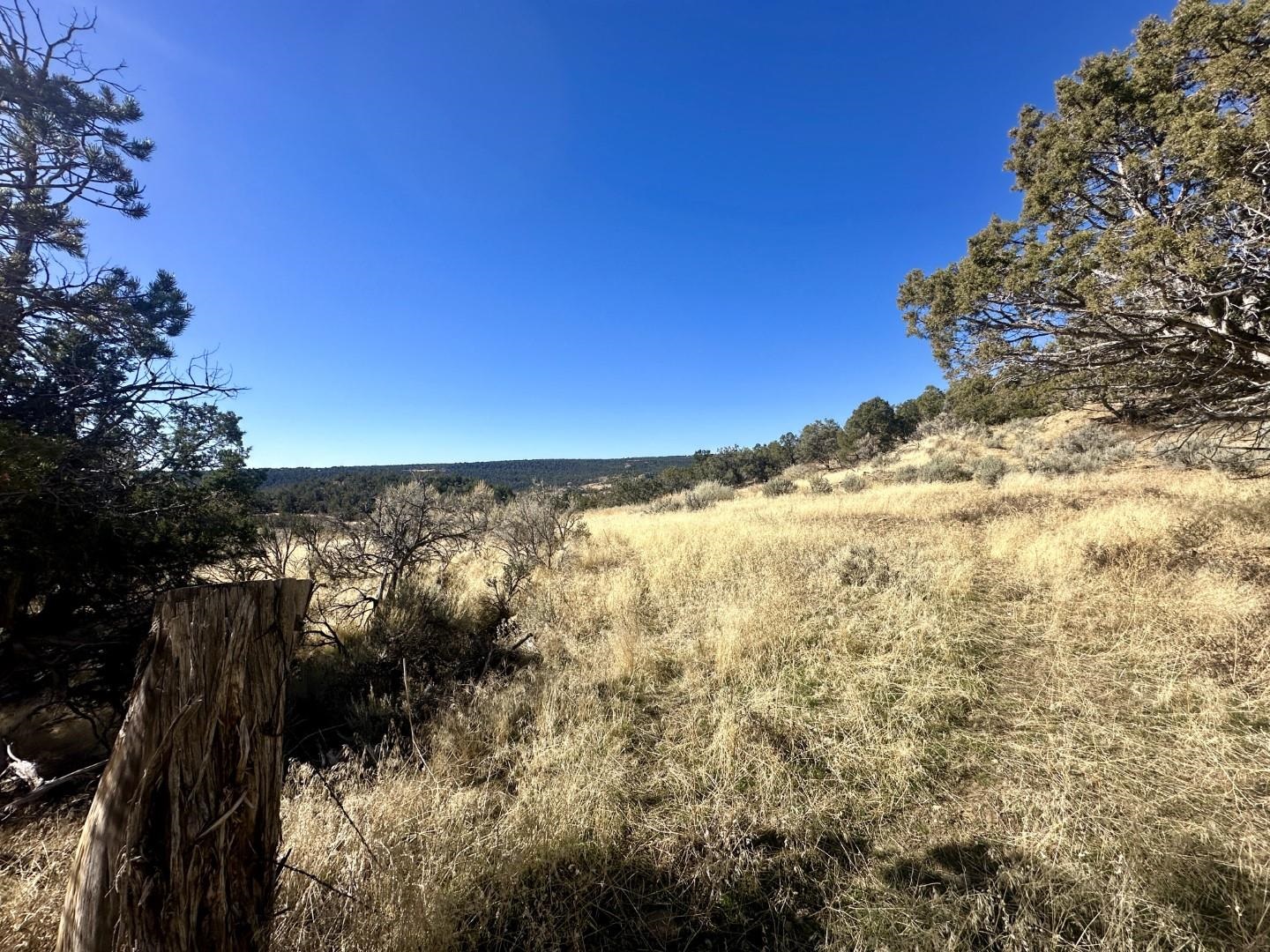Tbd Cactus Park Road Property Photo 16