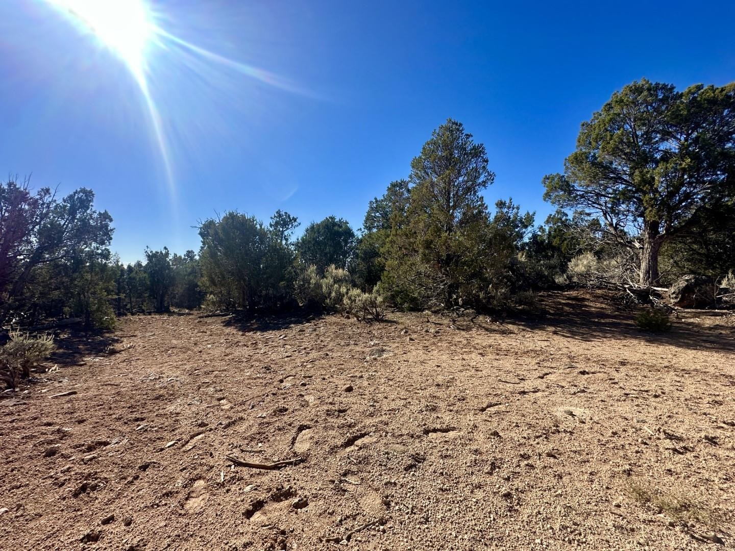 Tbd Cactus Park Road Property Photo 17