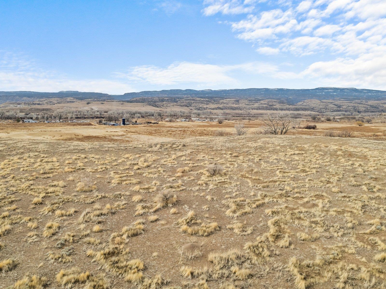 1528 Wapiti Way Property Photo 5