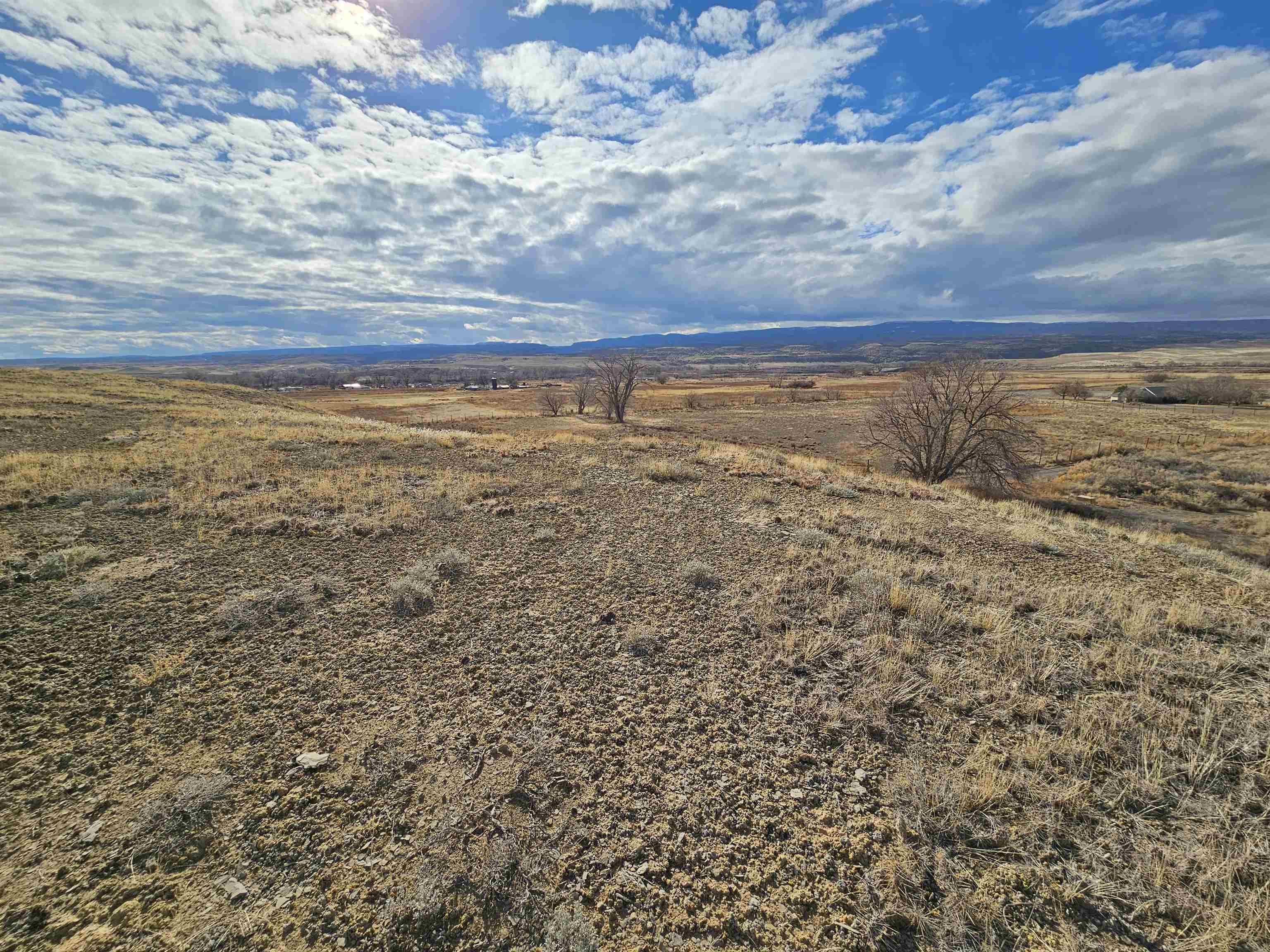 1528 Wapiti Way Property Photo 9