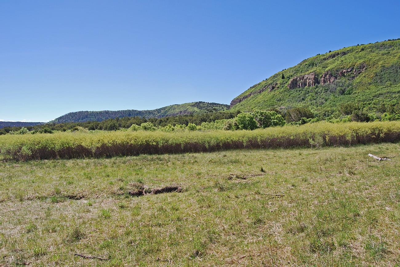 Tbd Old Hwy 90 Highway 90 Property Photo 5