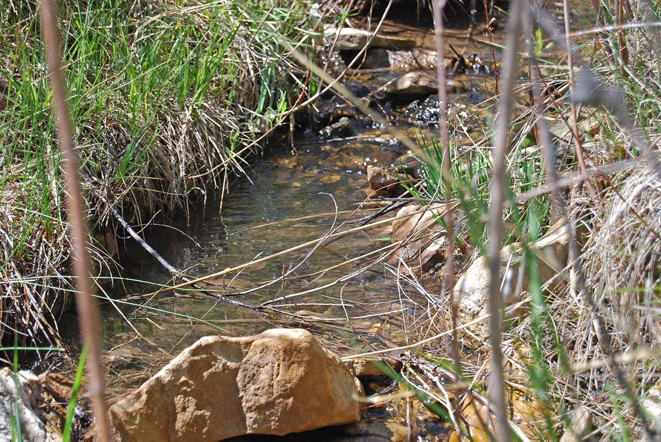 Tbd Old Hwy 90 Highway 90 Property Photo 7