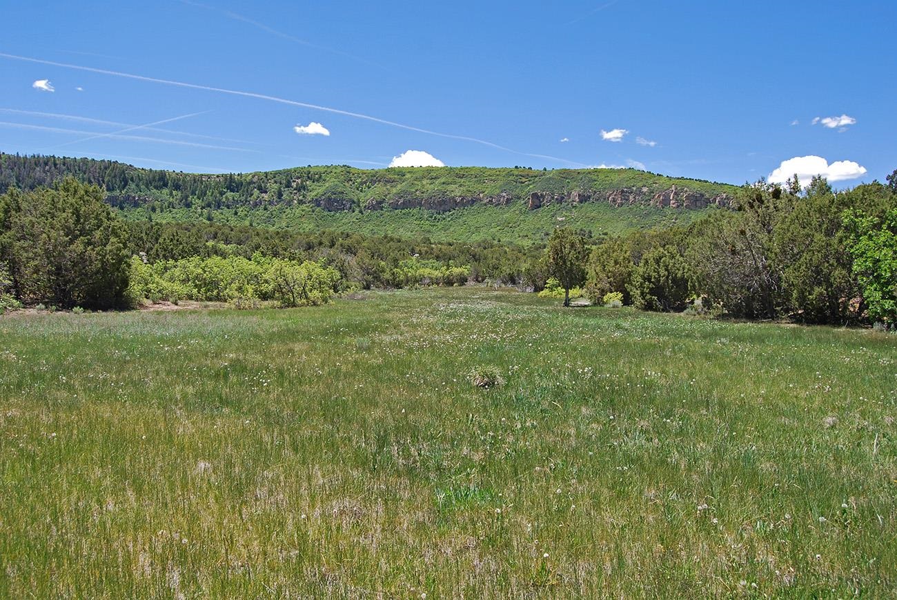 Tbd Old Hwy 90 Highway 90 Property Photo 8
