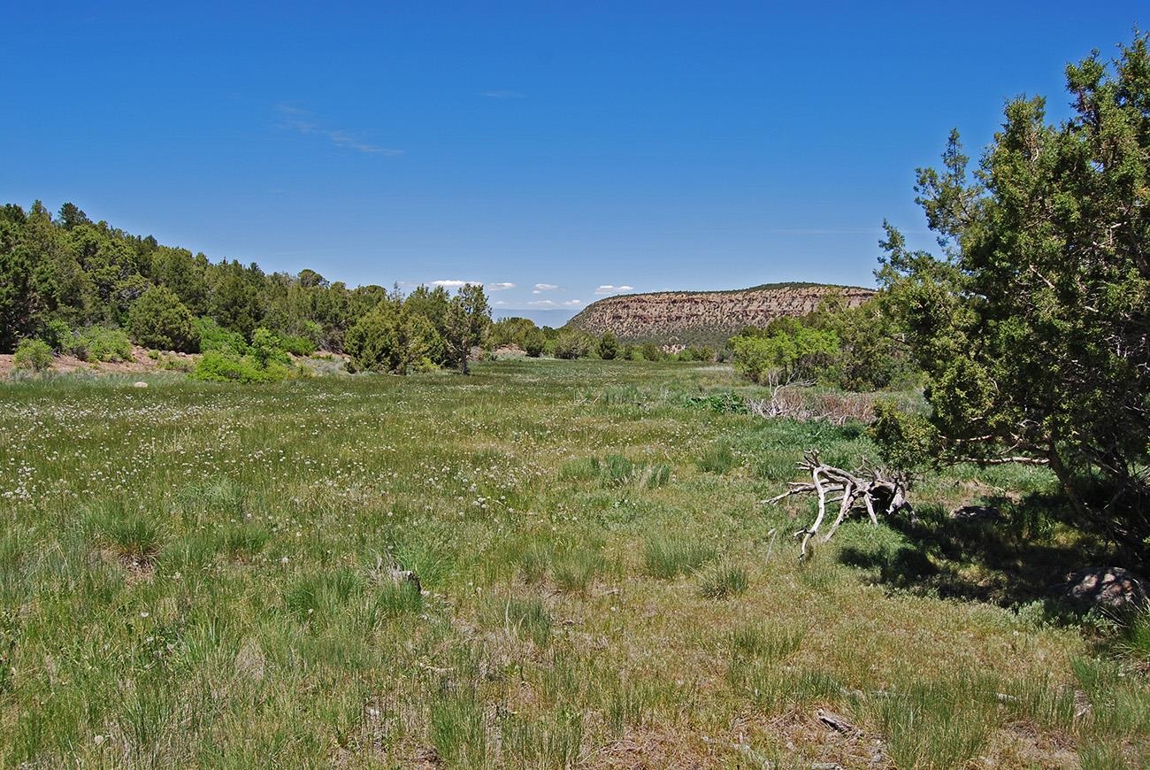 Tbd Old Hwy 90 Highway 90 Property Photo 10