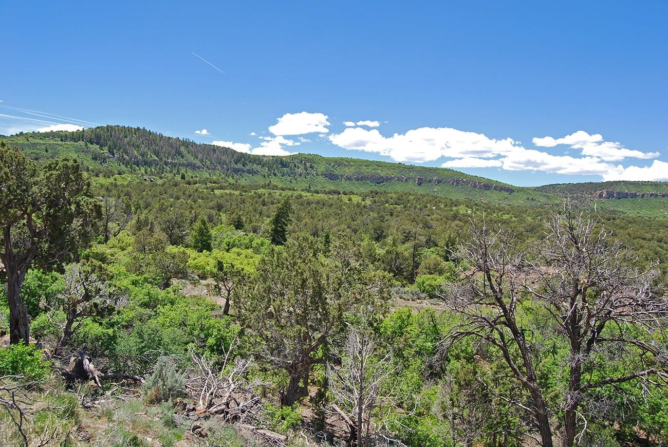 Tbd Old Hwy 90 Highway 90 Property Photo 11