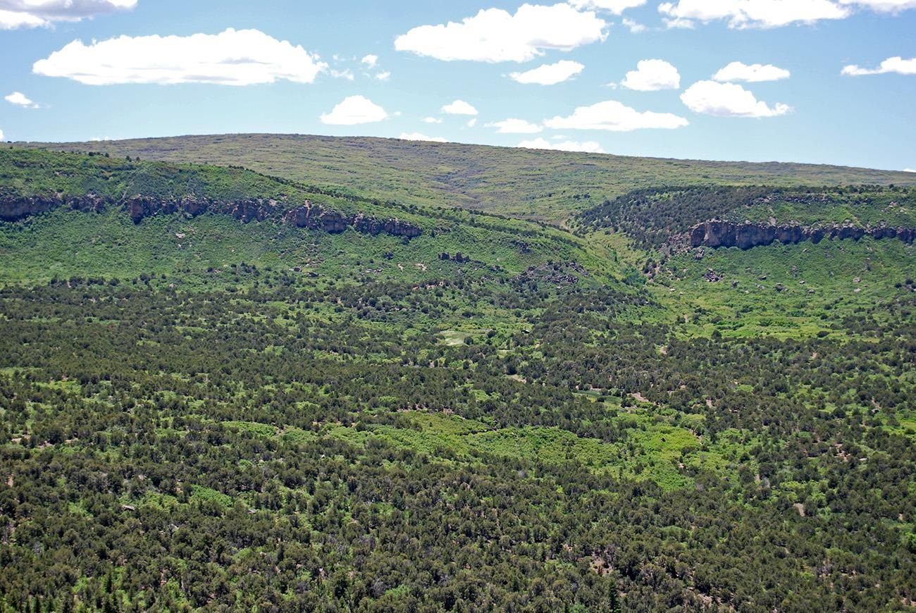 Tbd Old Hwy 90 Highway 90 Property Photo 12