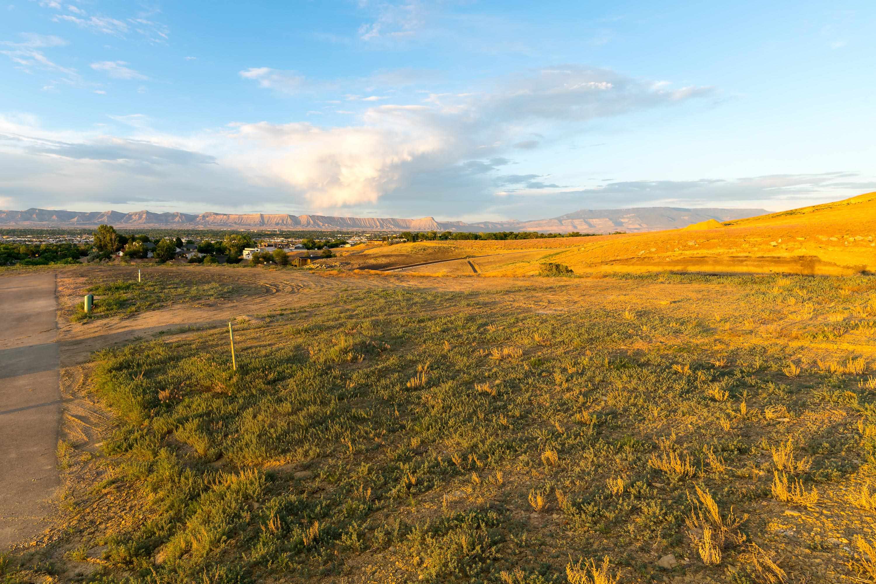 2407 Talus Court Property Photo 8