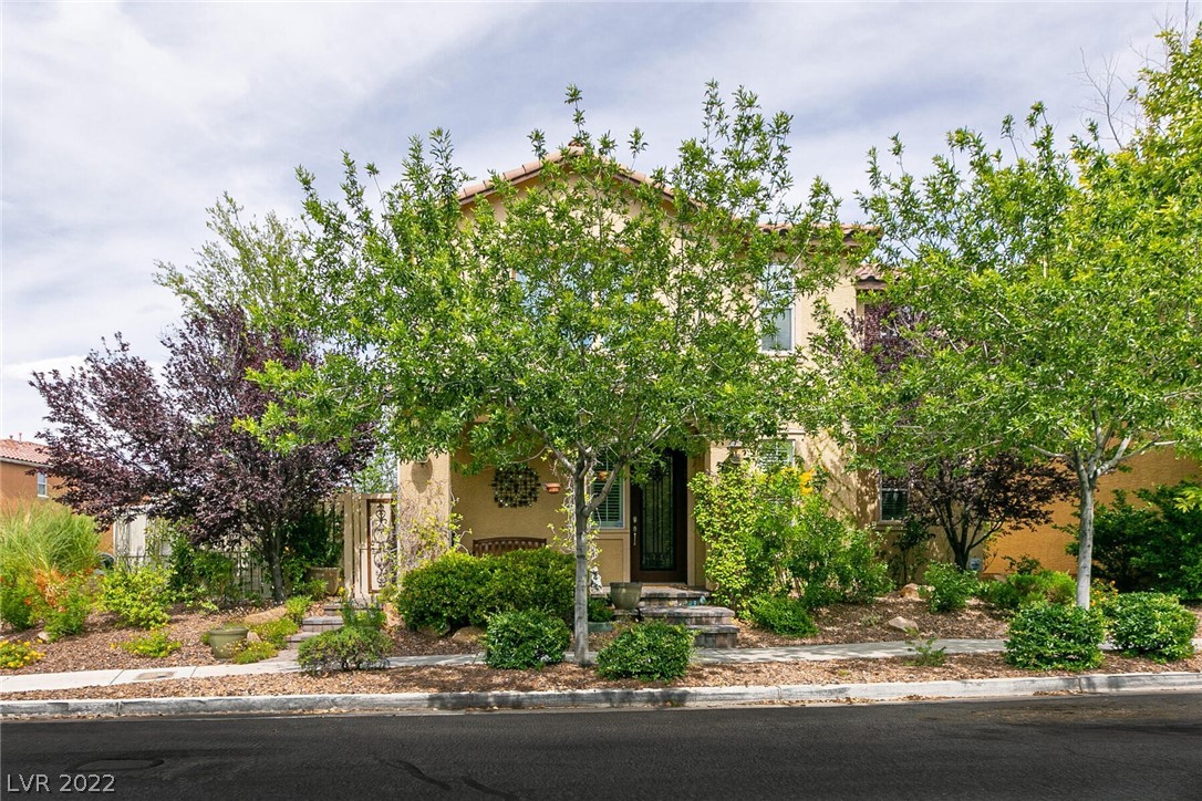 2024 Tinted Canvas Street Property Photo 1