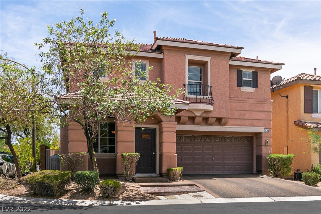 10290 Eve Springs Street Property Photo 1
