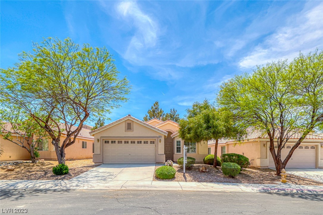 2271 Dakota Sky Court Property Photo 1