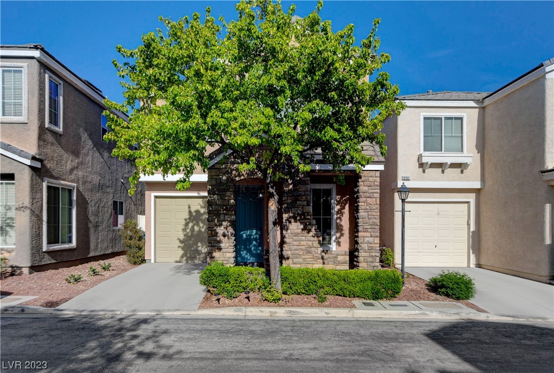 8176 Golden Flowers Street Property Photo 1
