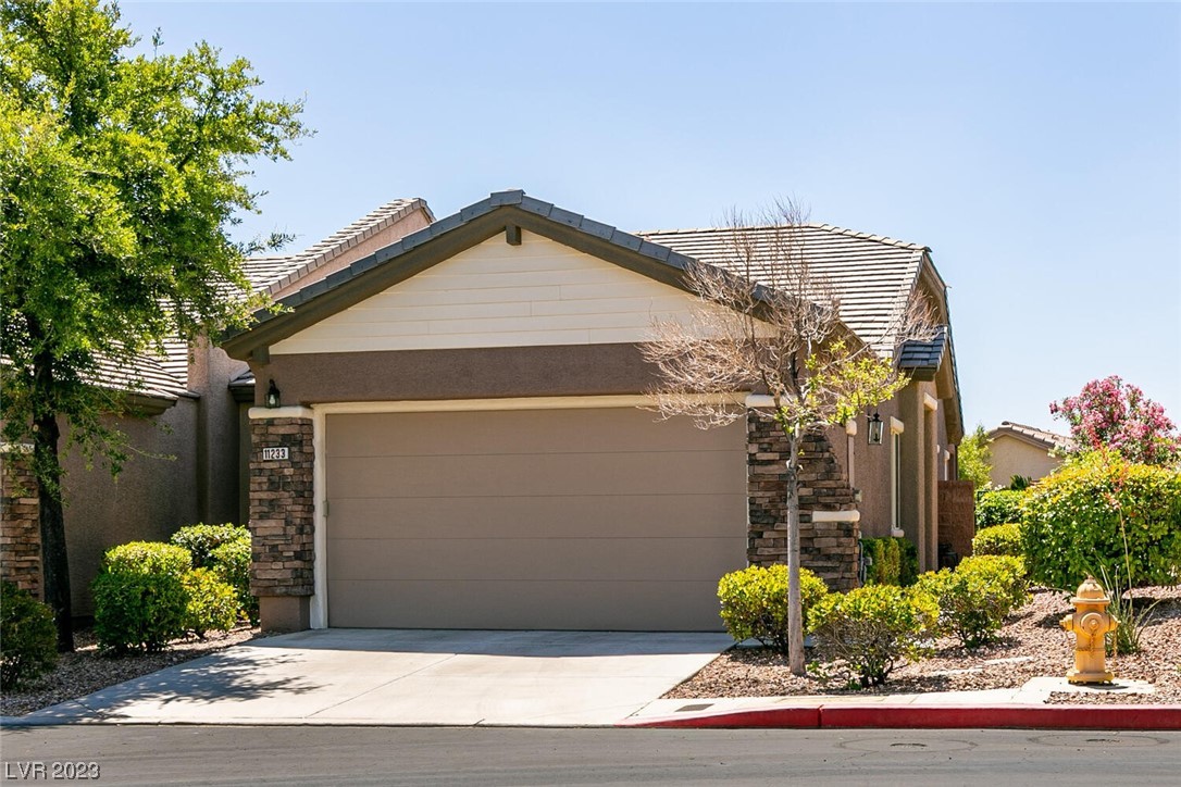 11233 Piper Peak Lane Property Photo 1