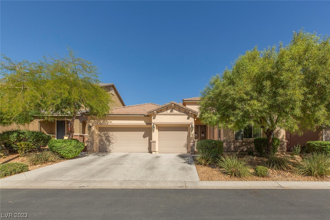 10116 Amana Oaks Avenue Property Photo 1