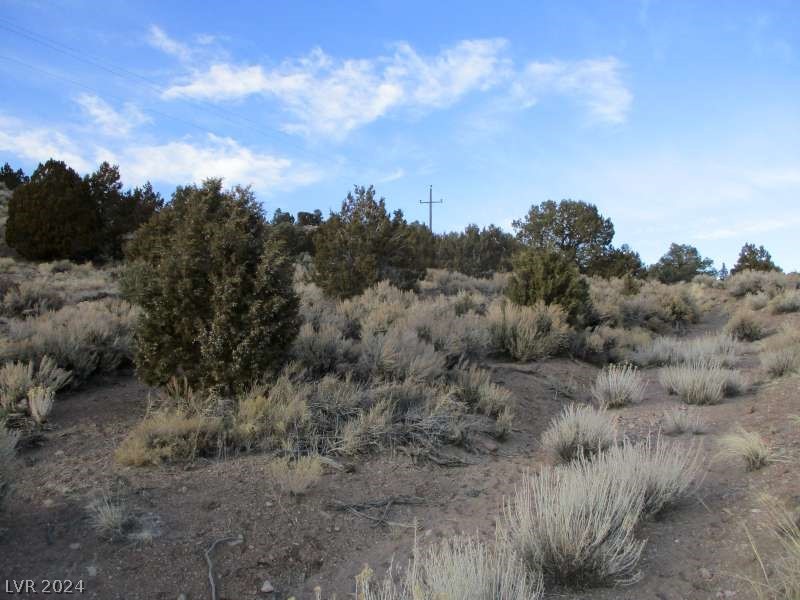 Nevada Hwy 322 (9.86 Ac) Property Photo 2