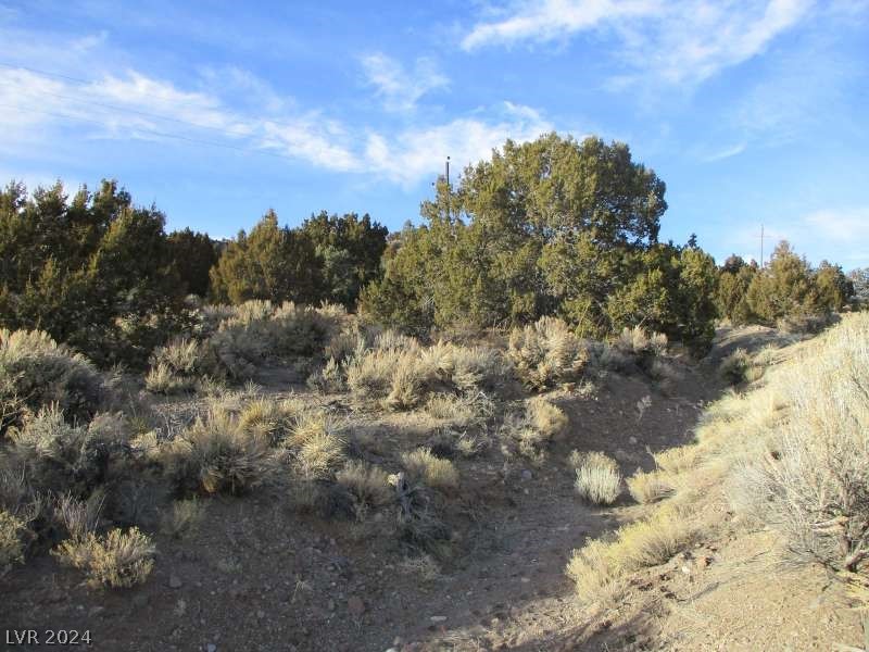 Nevada Hwy 322 (9.86 Ac) Property Photo 4