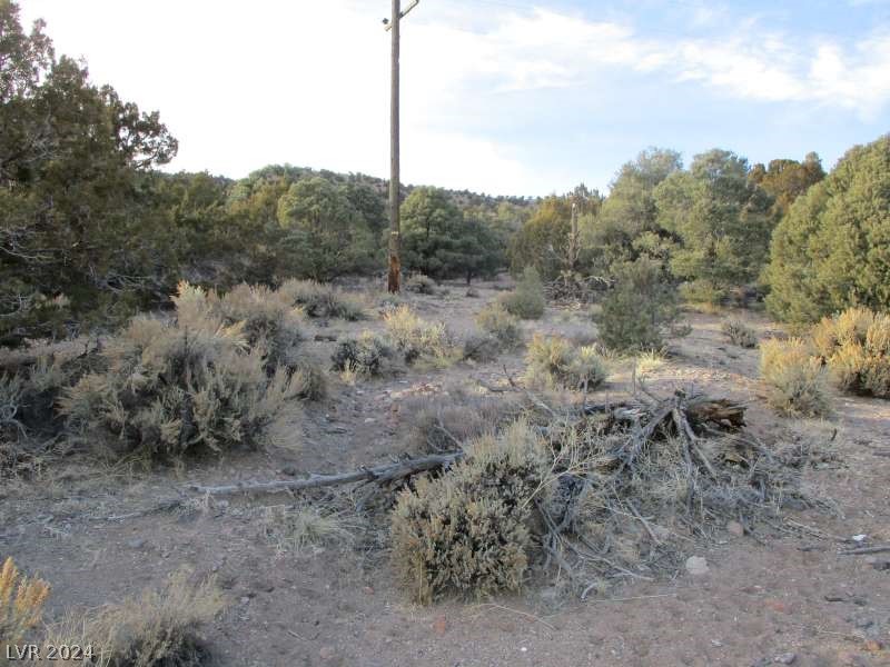 Nevada Hwy 322 (9.86 Ac) Property Photo 5