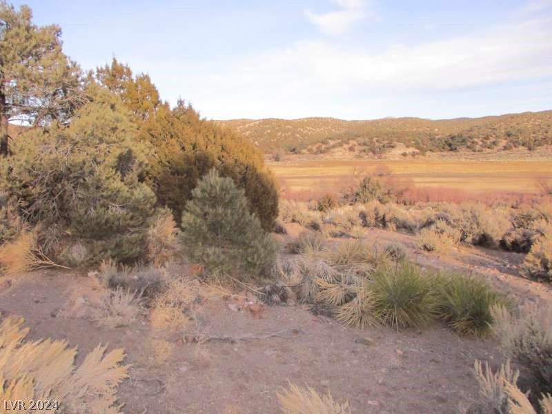 Nevada Hwy 322 (9.86 Ac) Property Photo 6