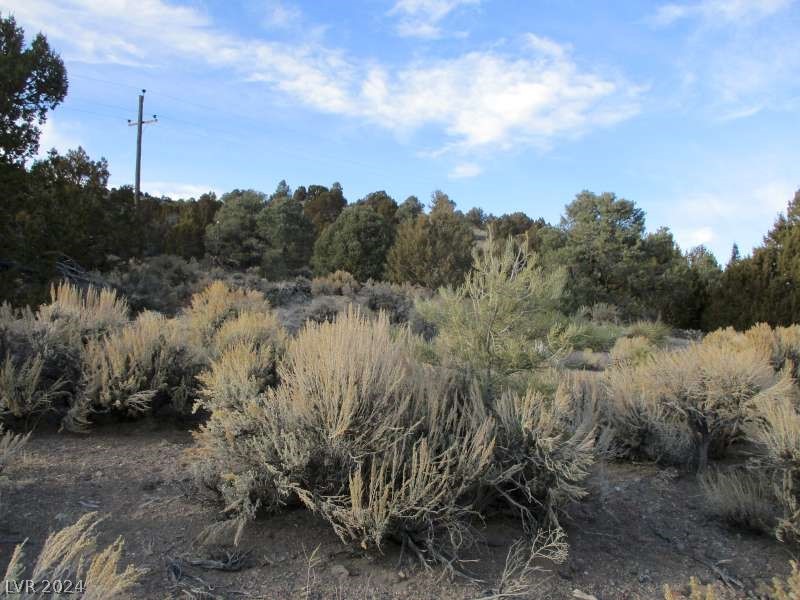 Nevada Hwy 322 (9.86 Ac) Property Photo 7