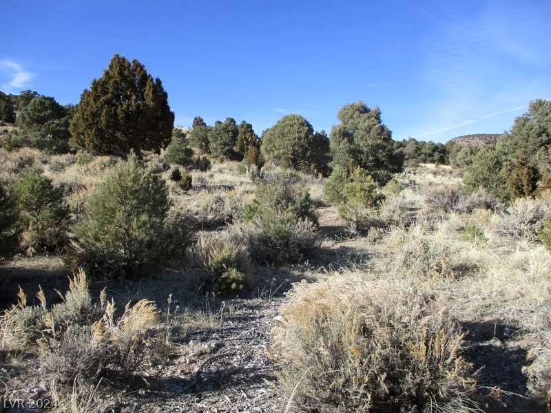 Nevada Hwy 322 (10.012 Ac) Property Photo 2