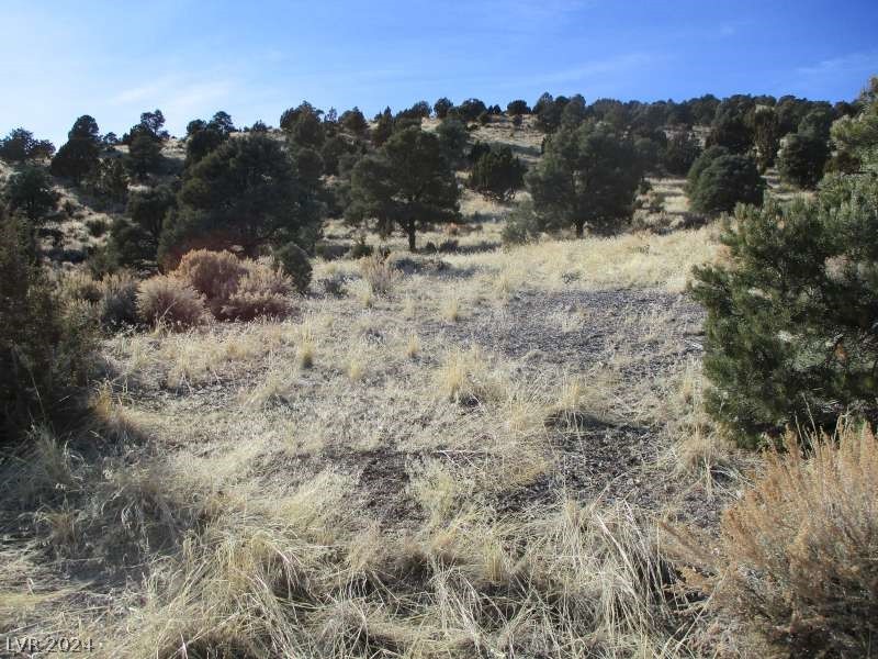 Nevada Hwy 322 (10.012 Ac) Property Photo 3