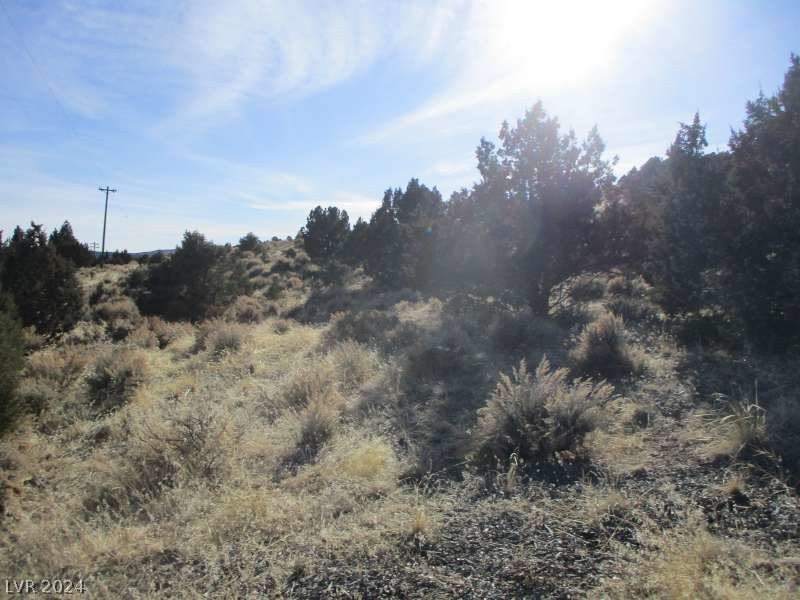Nevada Hwy 322 (10.012 Ac) Property Photo 4