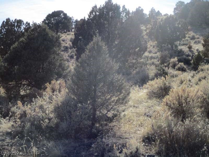 Nevada Hwy 322 (10.012 Ac) Property Photo 5