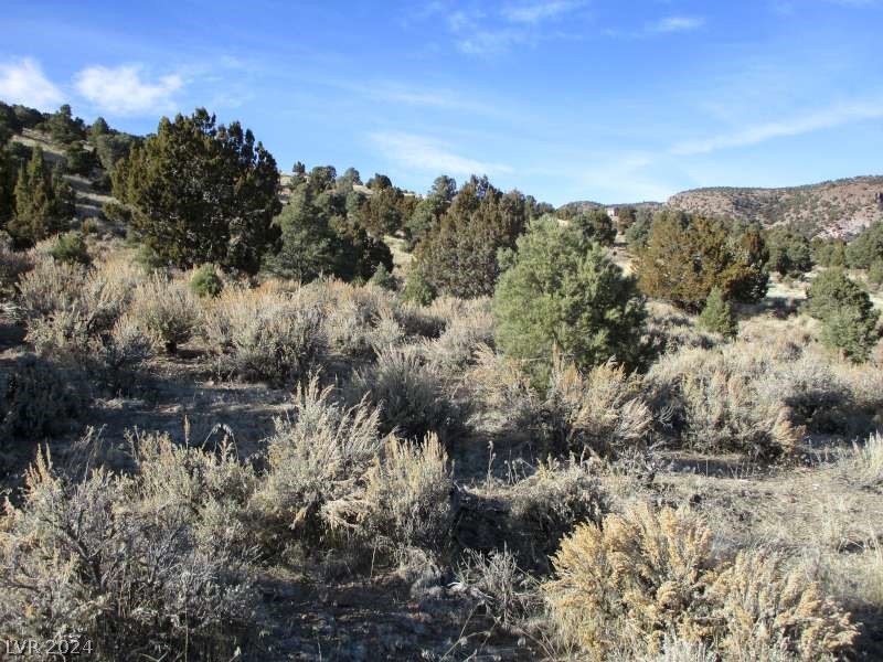 Nevada Hwy 322 (10.012 Ac) Property Photo 6