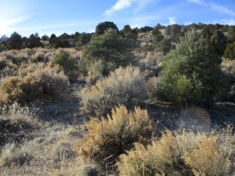 Nevada Hwy 322 (10.012 Ac) Property Photo 7