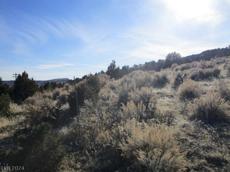 Nevada Hwy 322 (10.012 Ac) Property Photo 8