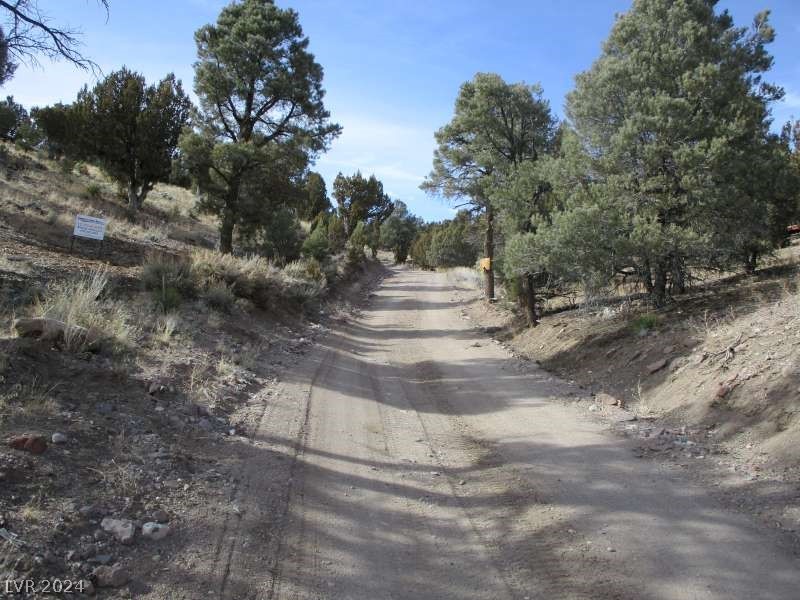 Nevada Hwy 322 (13.753 Ac) Property Photo 2