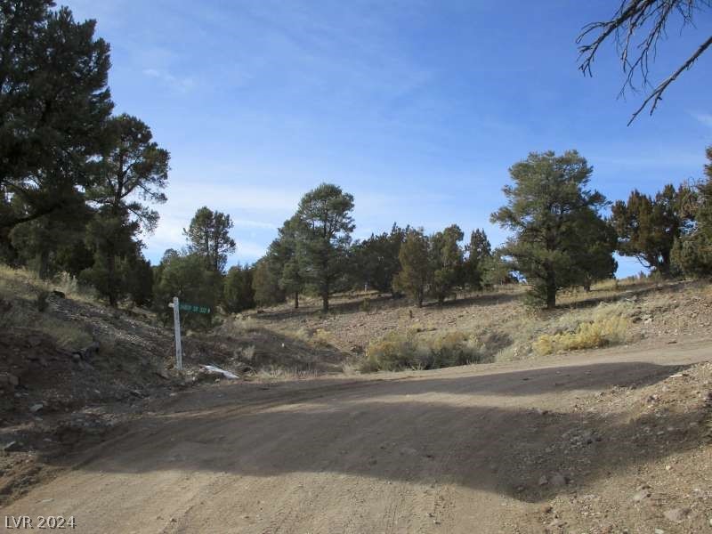 Nevada Hwy 322 (13.753 Ac) Property Photo 4