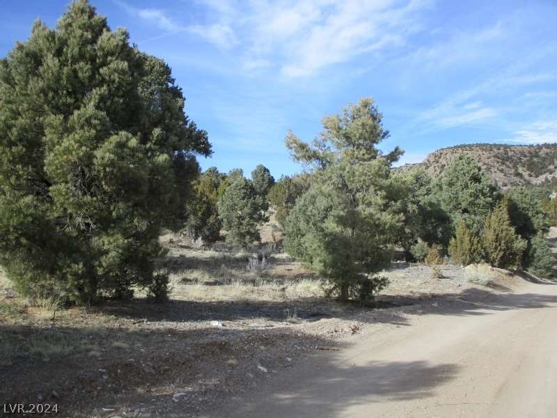Nevada Hwy 322 (13.753 Ac) Property Photo 5